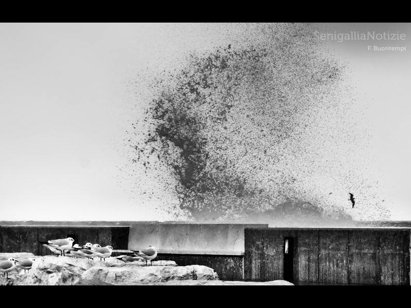 07/01/2015 - Onde alte