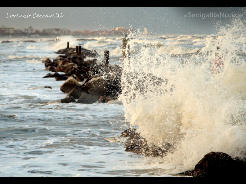 12/01/2015 - Mare mosso
