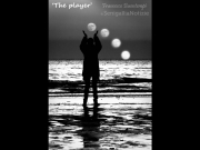 26/01/2015 - The player
