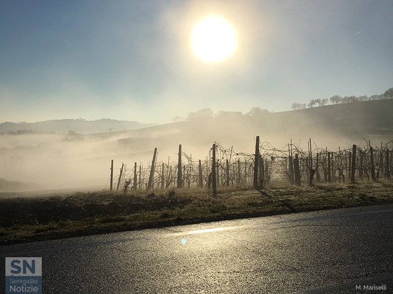 13/01/2016 - Nebbia sui colli, sole sulla strada