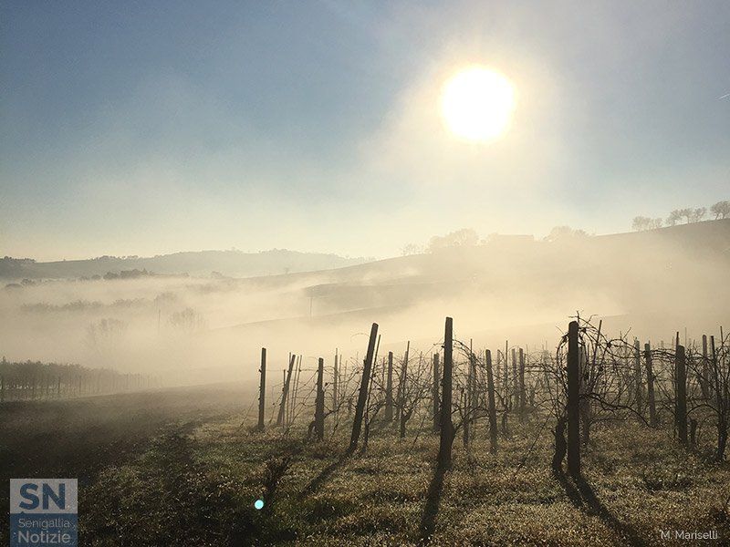 18/01/2016 - Nebbia in controluce
