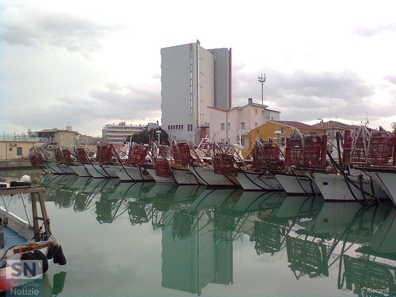 27/01/2016 - Qui è tutto fermo