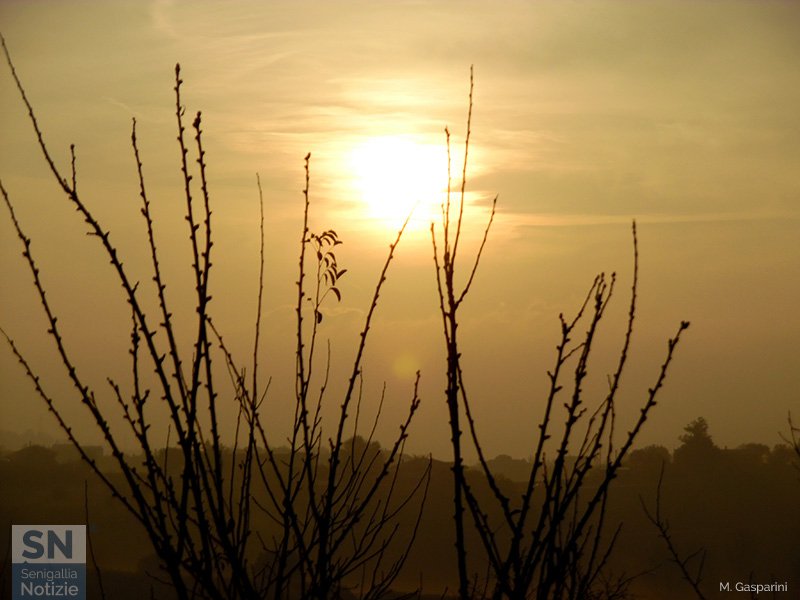 07/01/2017 - Foschie d'autunno