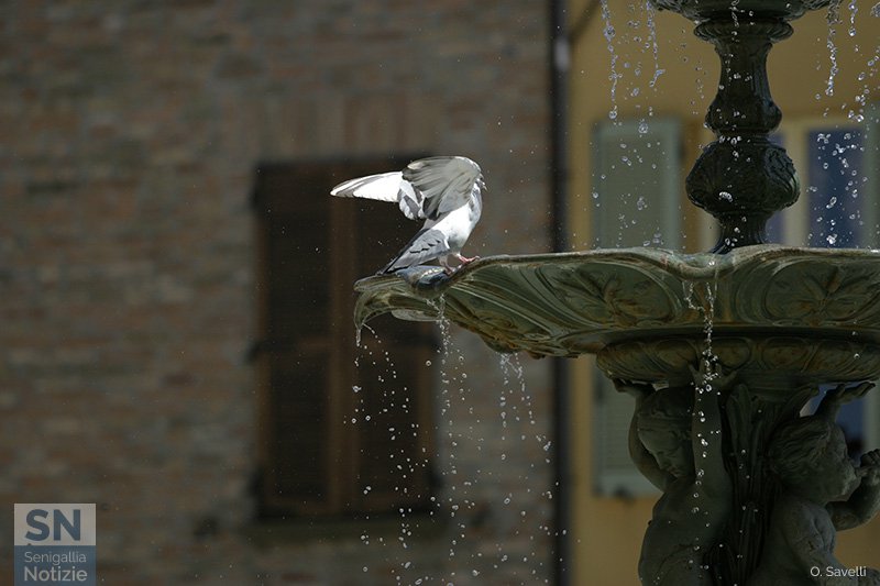 15/01/2017 - Leggerezza