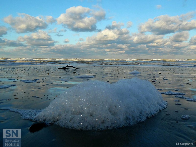 25/01/2017 - Battigia e schiuma