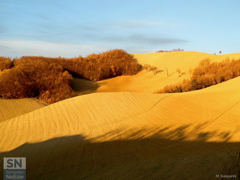 31/01/2017 - Colori di gennaio