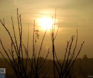 07/01/2017 - Foschie d'autunno