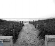 11/01/2017 - Grigia giornata d'autunno