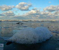 25/01/2017 - Battigia e schiuma