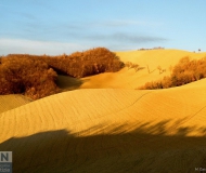 31/01/2017 - Colori di gennaio