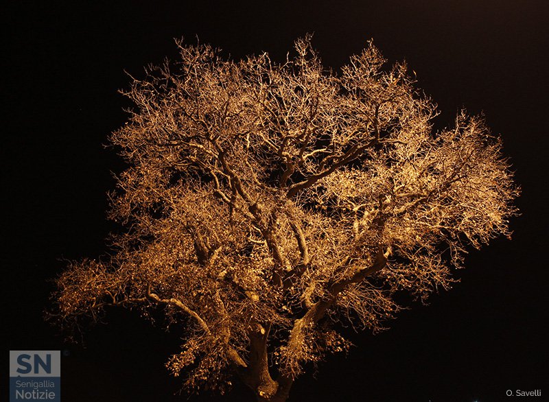 11/01/2018 - Sospensione