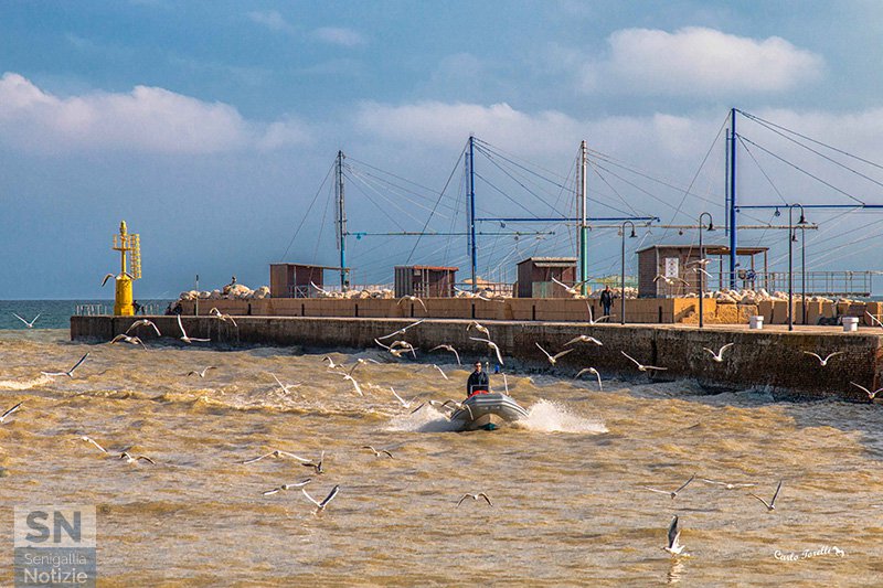 20/01/2018 - Accompagnato dai gabbiani