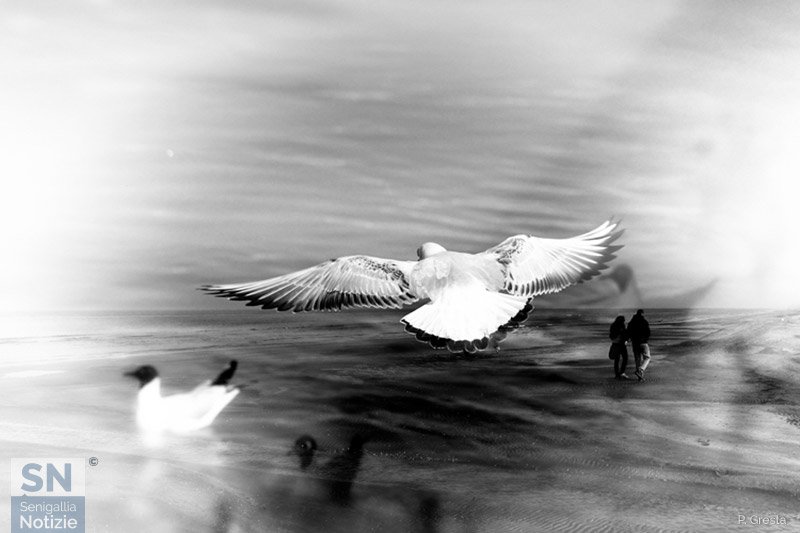 02/01/2019 - Mano nella mano