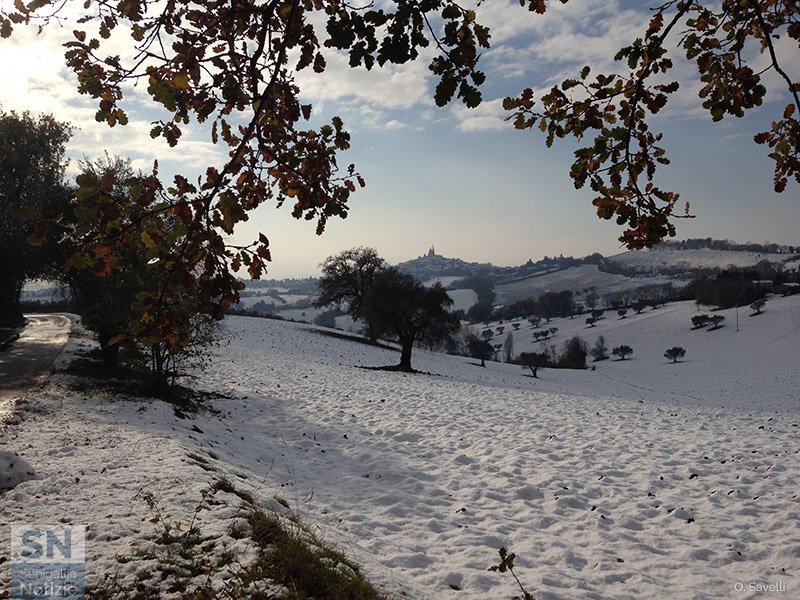 08/01/2019 - In bianco