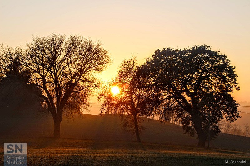 11/01/2019 - Campagna al tramonto