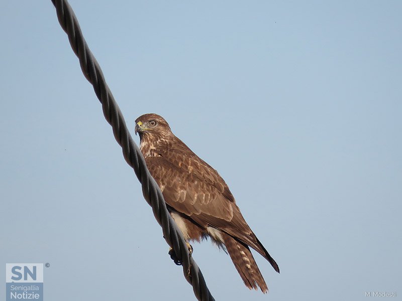 23/01/2019 - Concentrazione