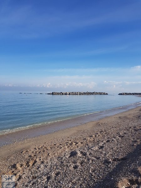 25/01/2019 - Cesano d'inverno