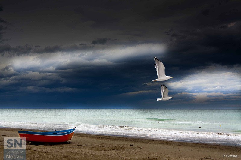 31/01/2019 - Salvataggio