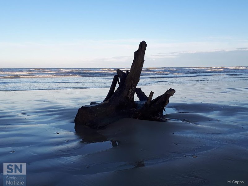 10/01/2020 - Arrivi in riva