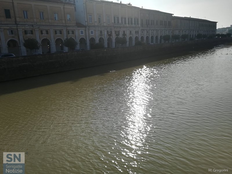 11/01/2020 - Controluce sul Misa