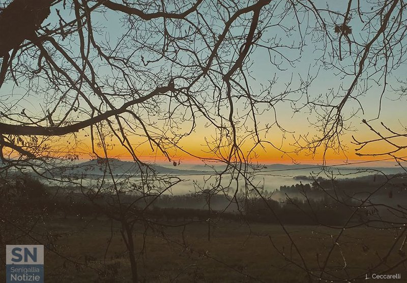 24/01/2020 - Campagne nebbiose