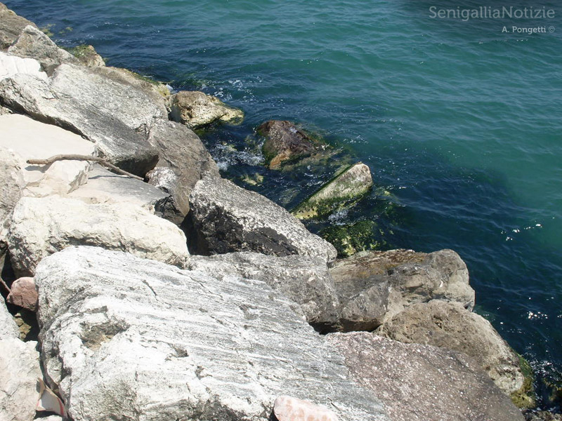 23/06/2012 - Gli scogli