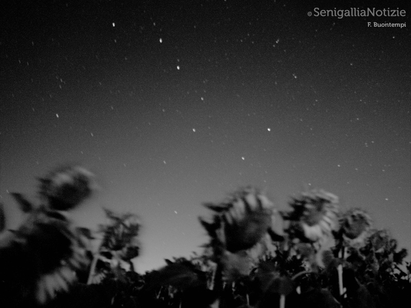 12/06/2015 - Great gig in the sky