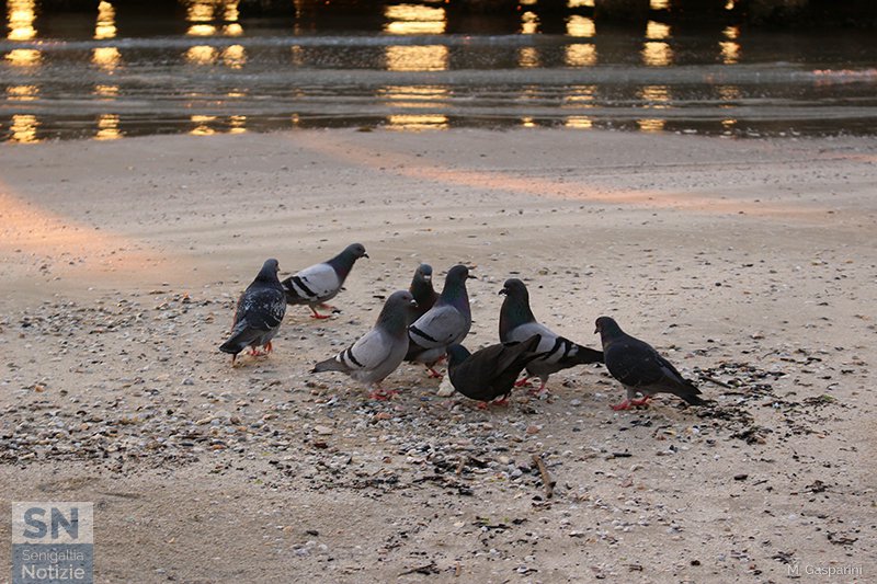 07/06/2017 - Solite chiacchiere