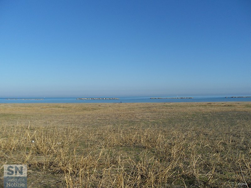 09/06/2017 - Striscia di mare