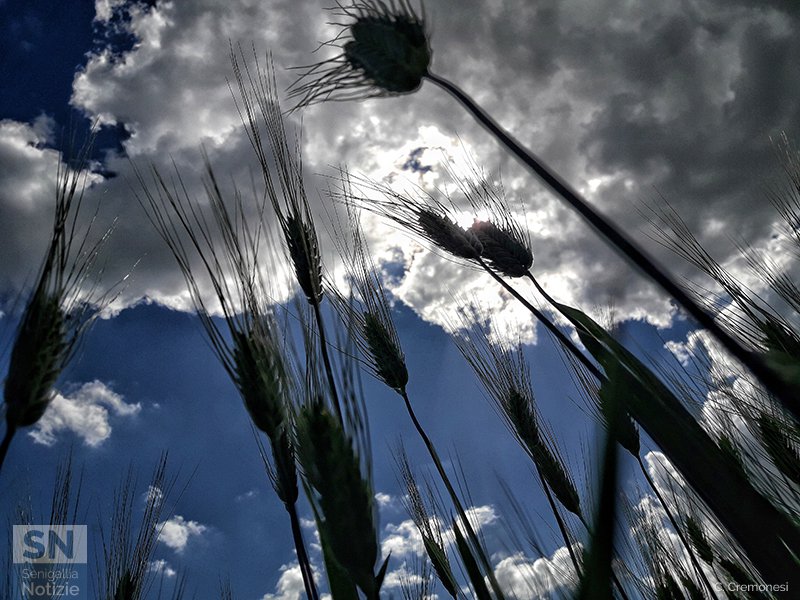 11/06/2017 - Spettatori del silenzio...