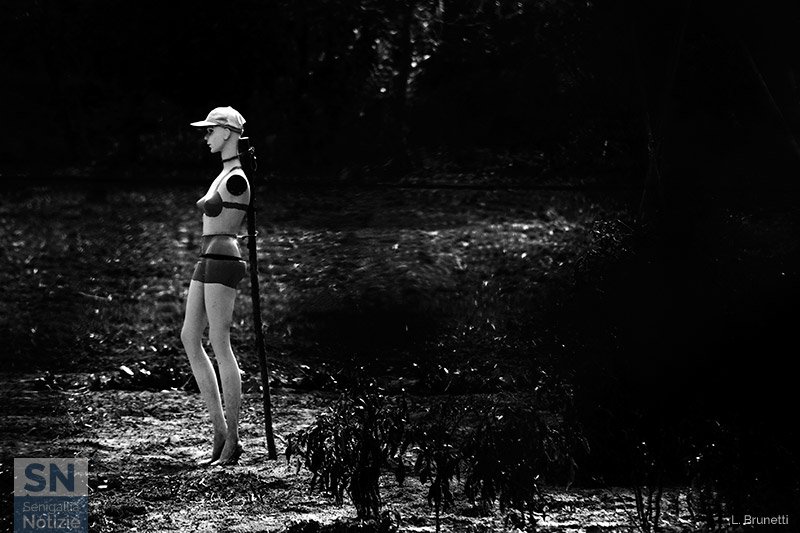 24/06/2017 - Forme logore