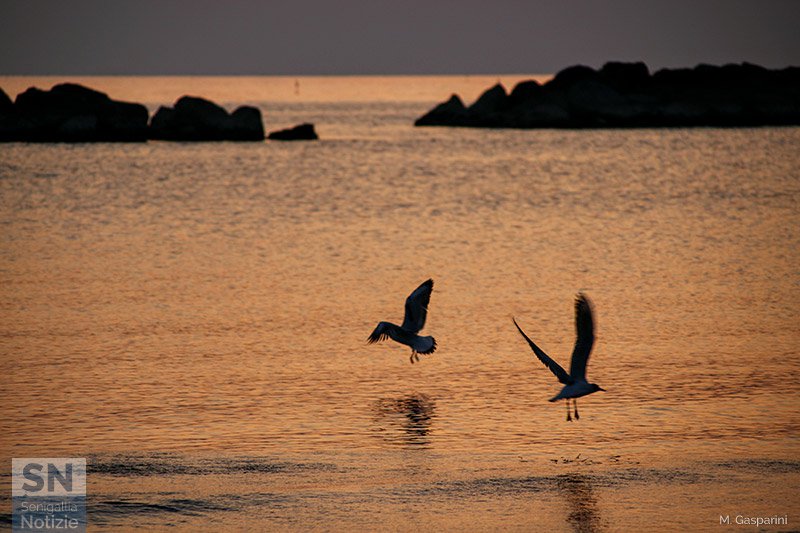 29/06/2018 - Nel colore del mattino