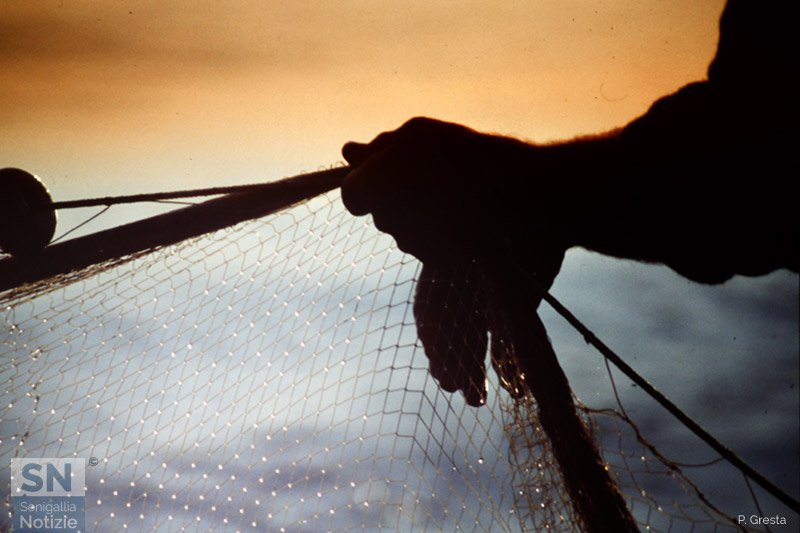 30/06/2018 - La rete della tratta