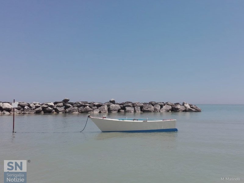 28/06/2019 - Barca al guinzaglio