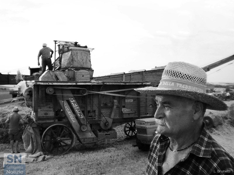 30/06/2019 - Trebbiatura