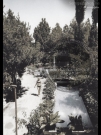 Villa Sorriso a Senigallia - Leopoldi 001