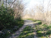 Un tratto di Percorrimisa