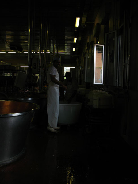 Al lavoro in un caseificio colpito dal sisma in Emilia