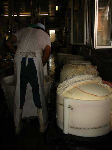 Al lavoro in un caseificio colpito dal sisma in Emilia