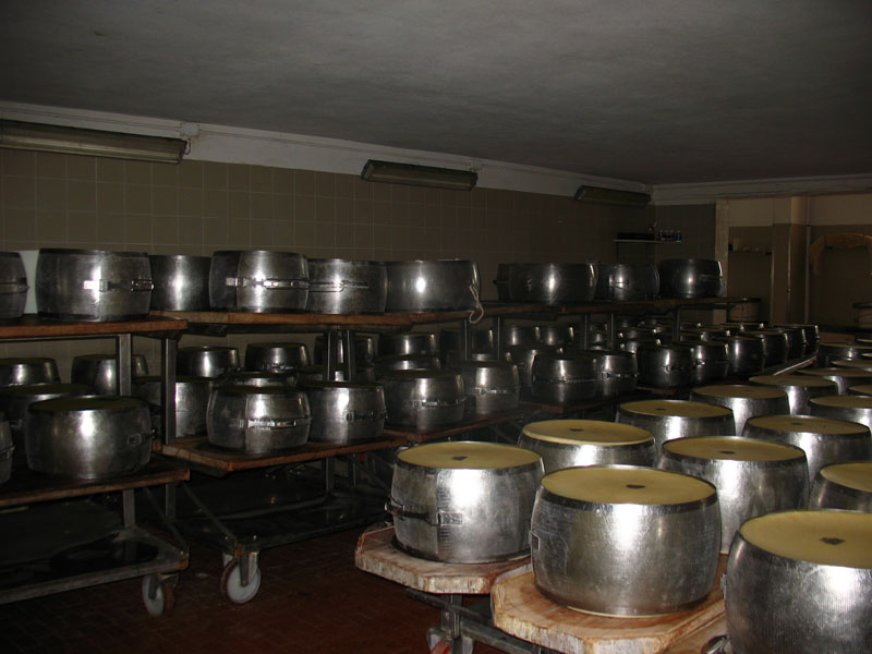 La lavorazione del Parmigiano nei caseifici dell'Emilia