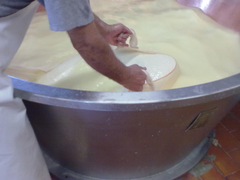 Al lavoro in un caseificio colpito dal sisma in Emilia