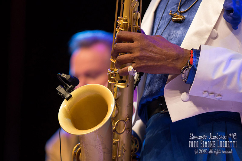 Musicisti al Summer Jamboree 2015