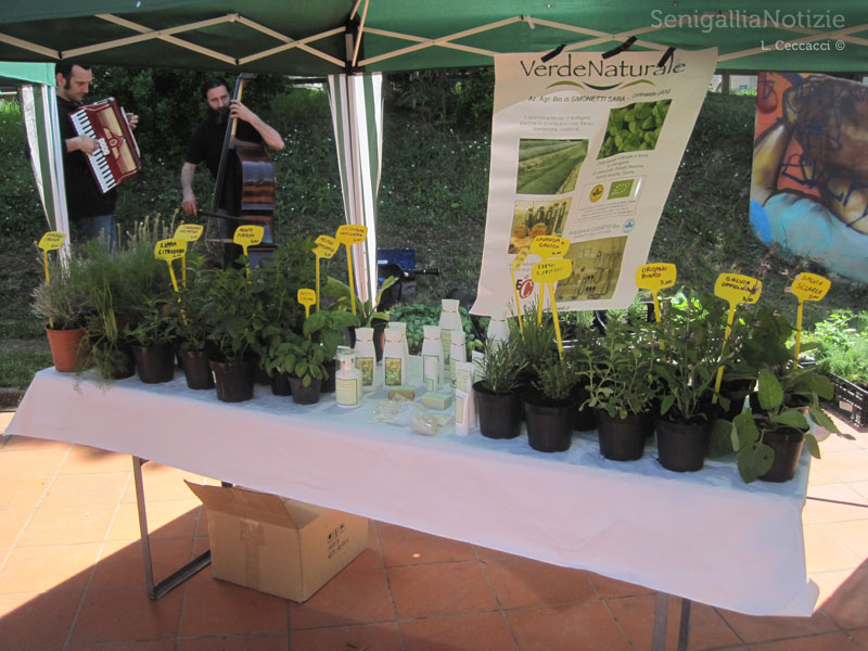 Mercato bio Mezza Campagna: piante aromatiche