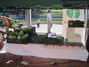 Mercato bio Mezza Campagna: verdure