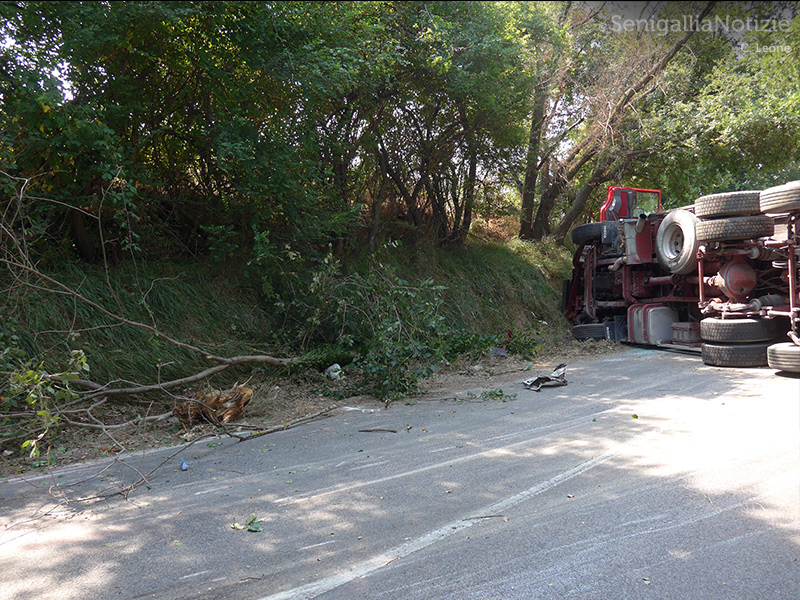L'impatto con la vegetazione a lato strada