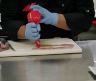 Incontri di Cucina per Amatori - Preparazione triglie ripiene