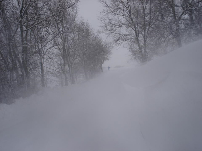 Sotto la tormenta di neve