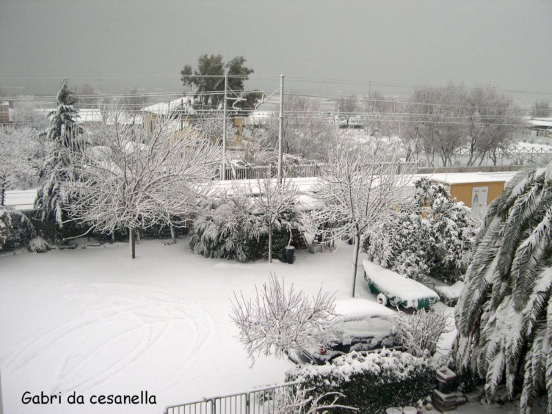Senigallia, zona Cesanella innevata