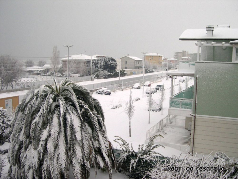 Senigallia, zona Cesanella innevata