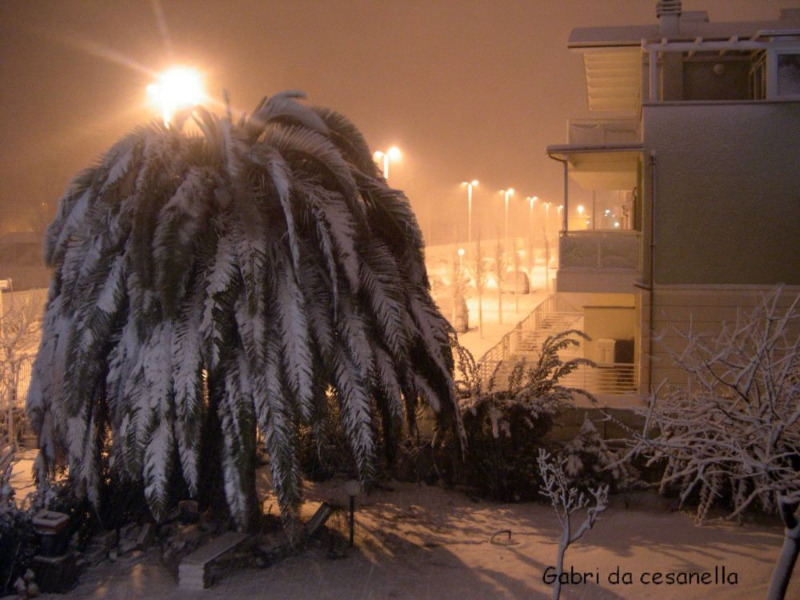 Senigallia, zona Cesanella in notturna